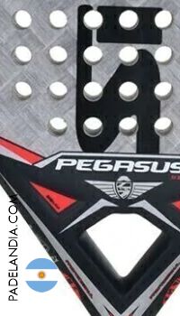 Siux pegasus